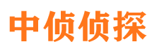 定陶市婚外情调查